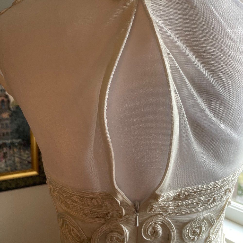 Designer Cache Elegant Sheath Amazing Applique - Picture 4 of 16